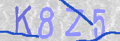 Immagine CAPTCHA