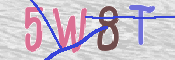Immagine CAPTCHA