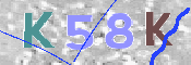 Immagine CAPTCHA