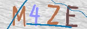 Immagine CAPTCHA