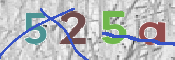 Immagine CAPTCHA