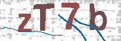 Immagine CAPTCHA